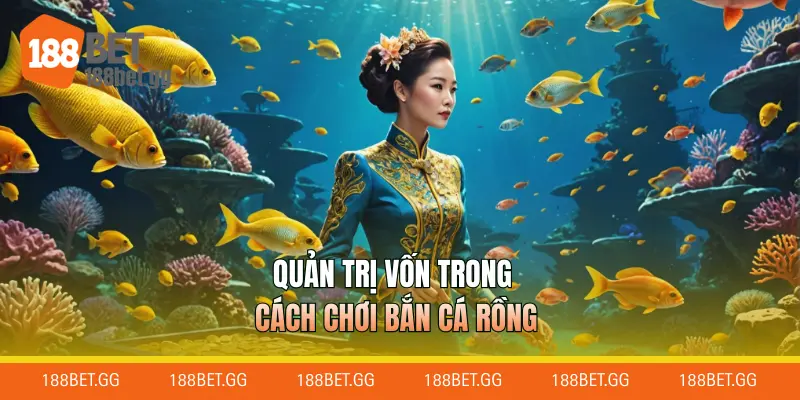 Quản trị vốn trong cách chơi bắn cá rồng