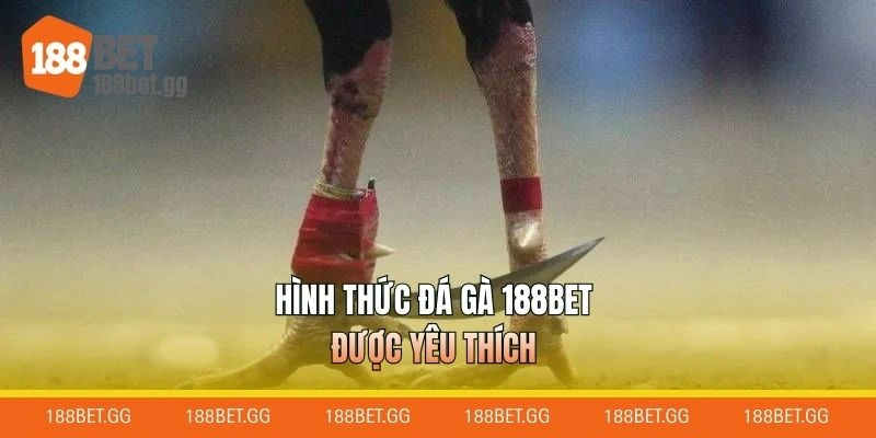 Hình thức đá gà 188BET được yêu thích
